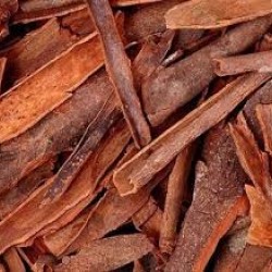 Cinnamon (DARUCHINI) 