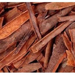 Cinnamon (DARUCHINI) 