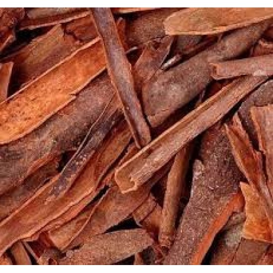 Cinnamon (DARUCHINI) 