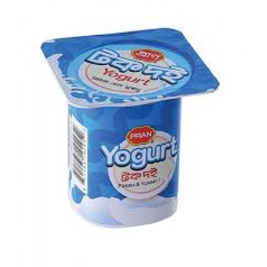 PRAN Sour Curd 100 ml 