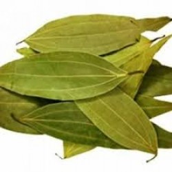 Bay Leaf (Tajpata)