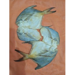 RUP CHANDA DRY FISH 1 kg 3000.00 tk