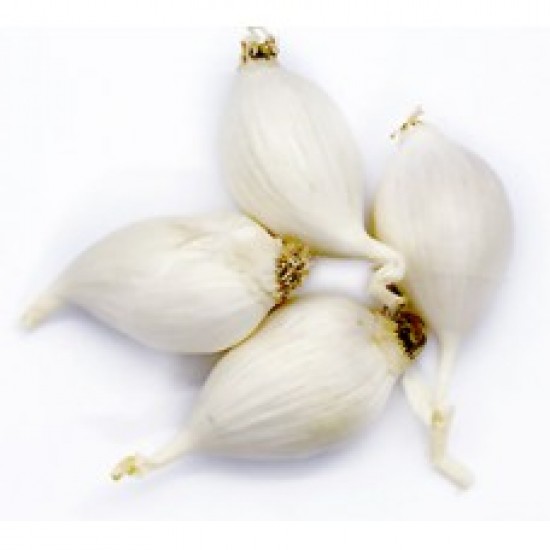 Deshi Single Shell Garlic 500 GM.